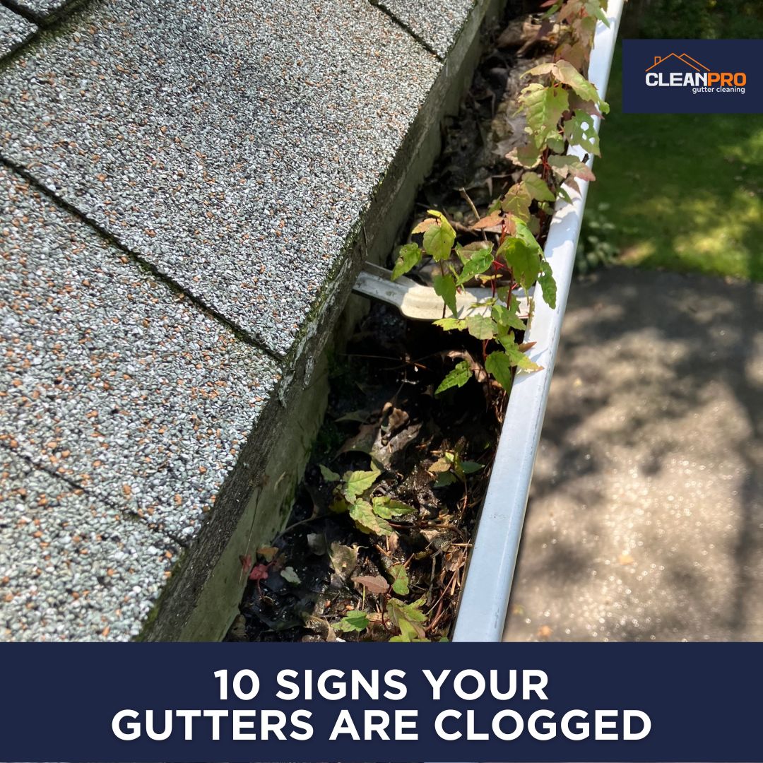 Here are the top 10 signs that you have clogged gutters.