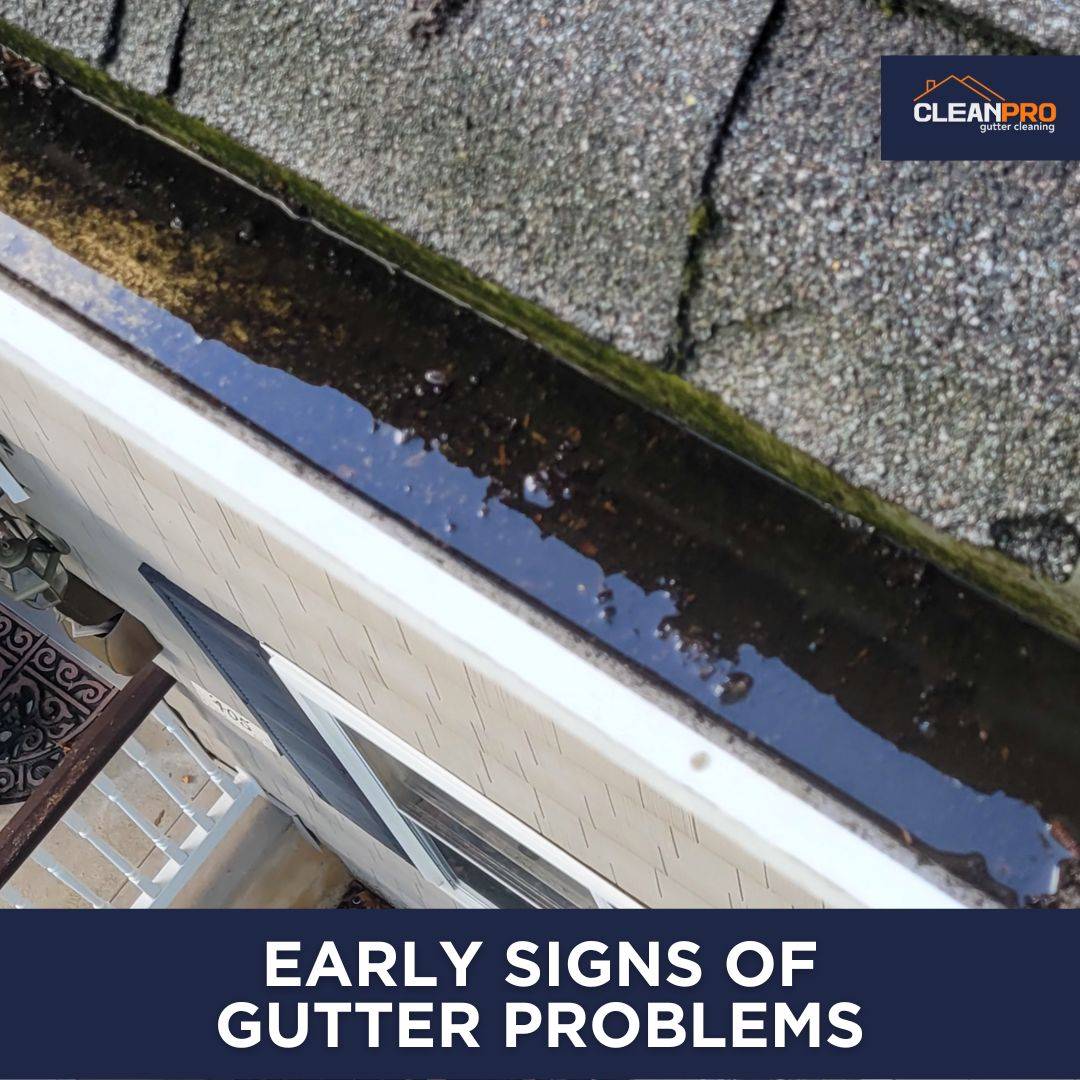 The warning signs of Gutter issues you can detect early.