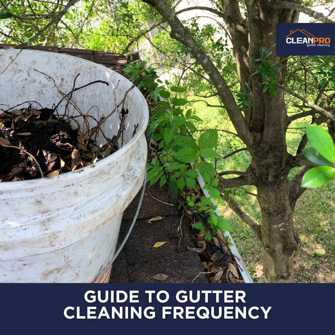Guide to Gutter Cleaning Frequency