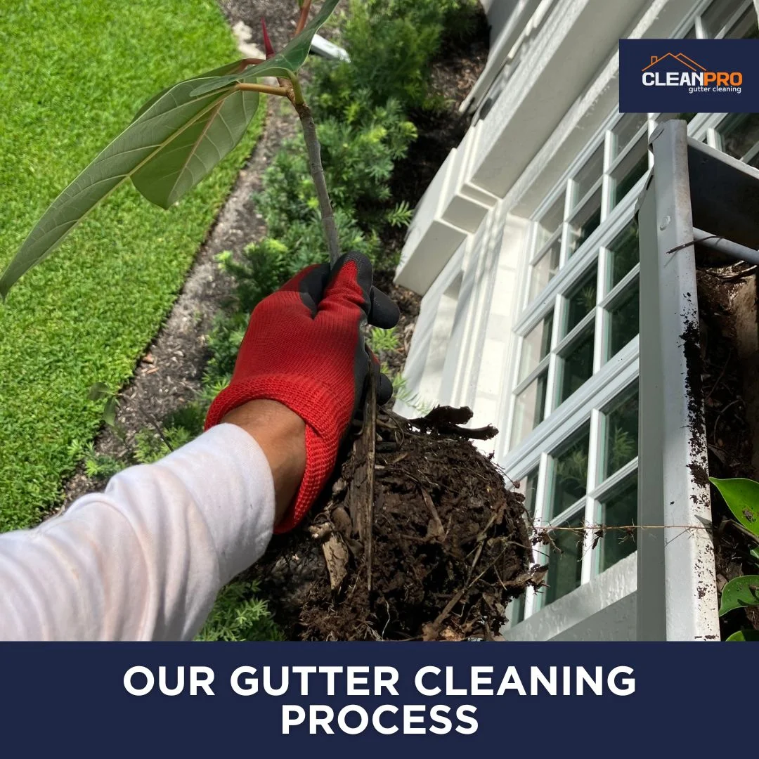 Our Gutter Cleaning Process