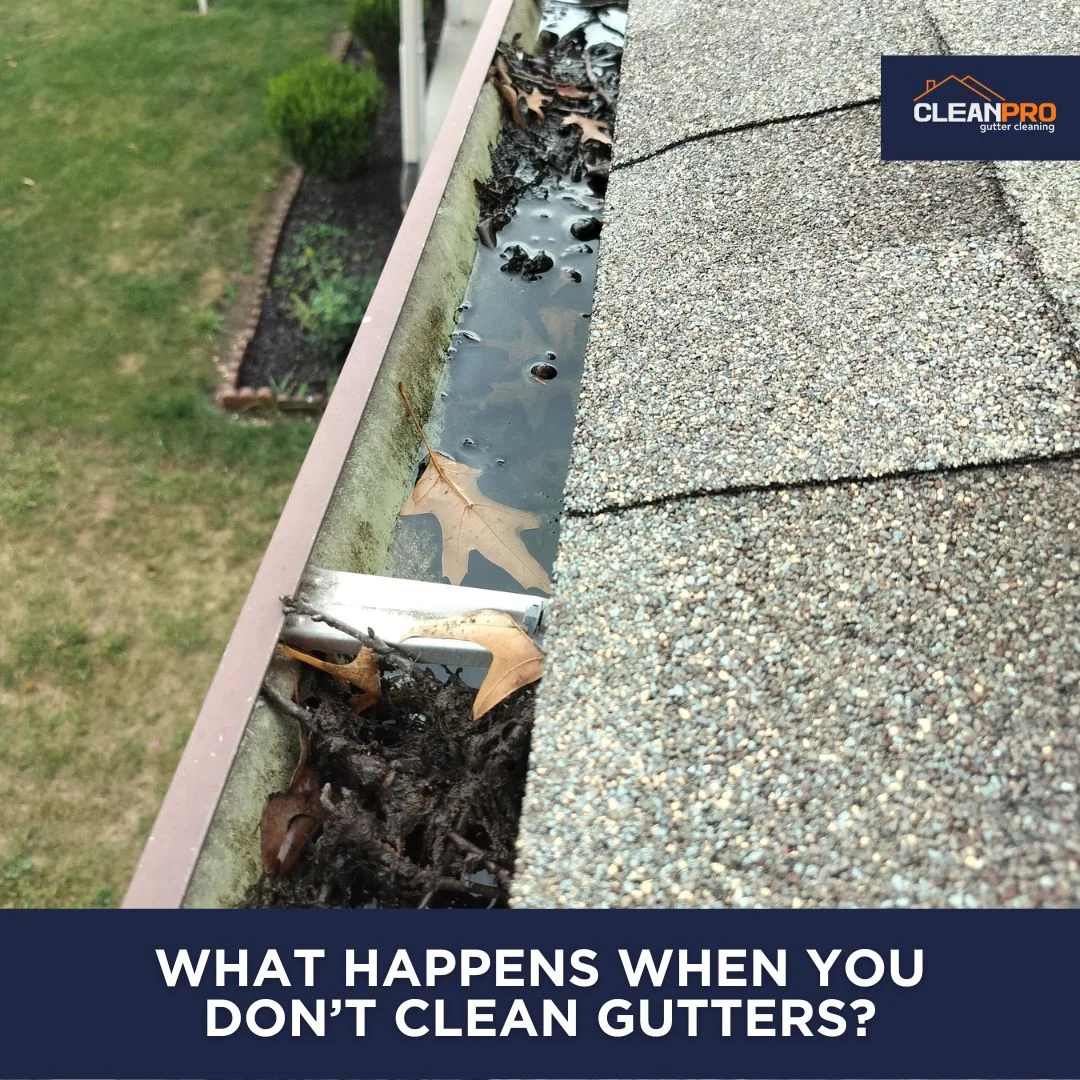 The effects of not cleaning your gutters.