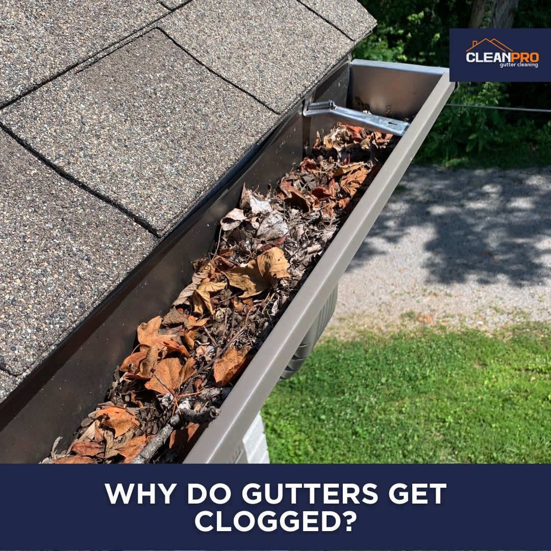 Why do your gutters get clogged?