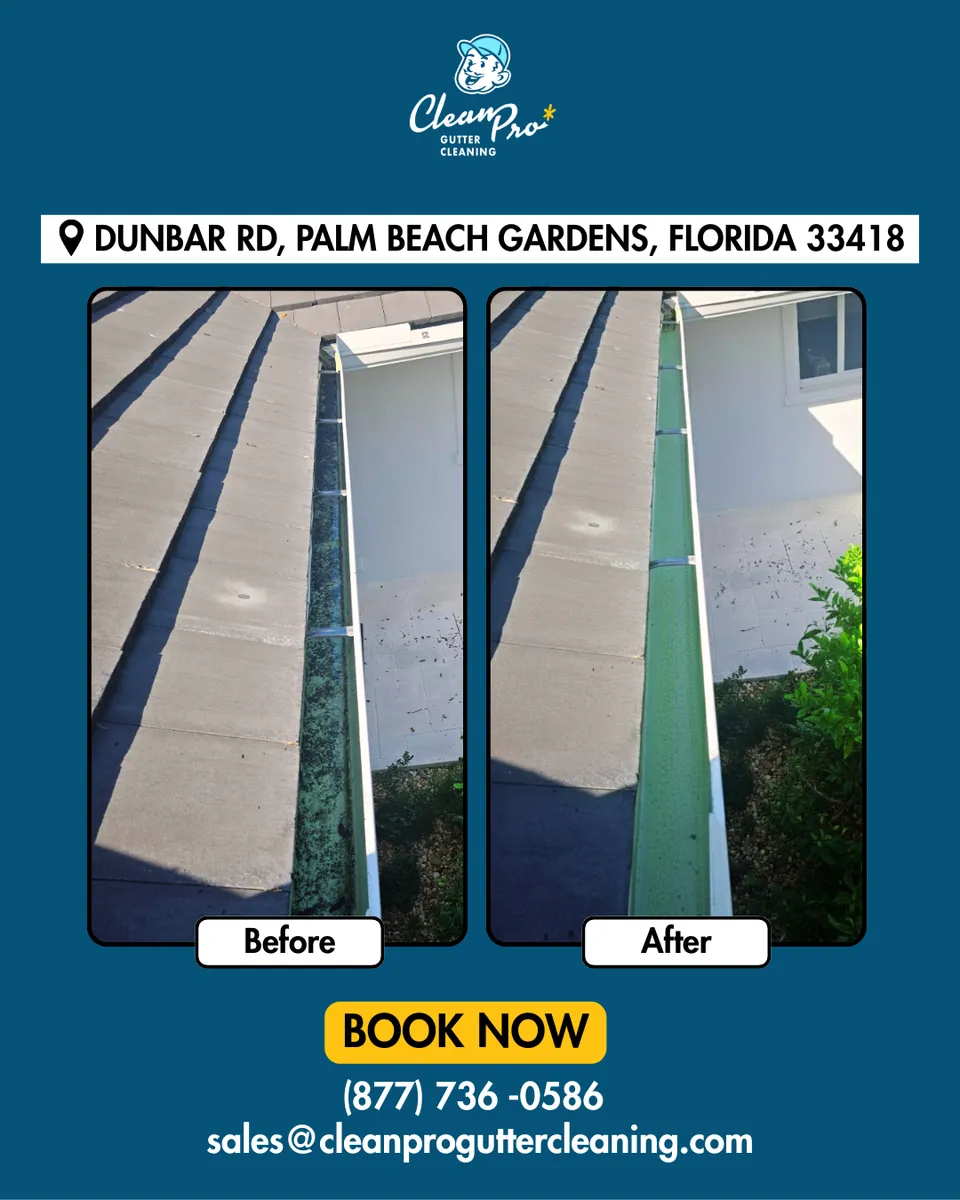 Before and after gutter cleaning in Swansea, MA