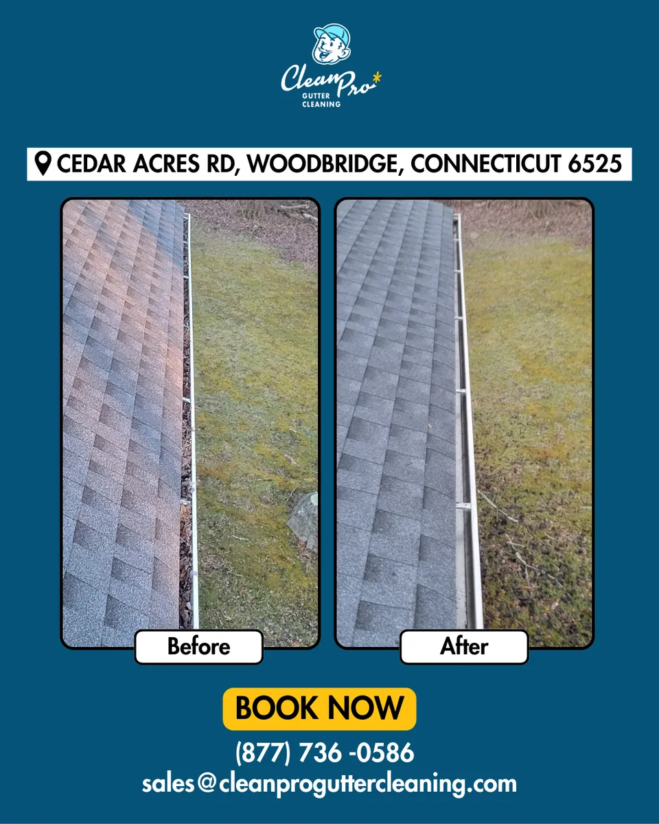 Before and after gutter cleaning in Westport, MA