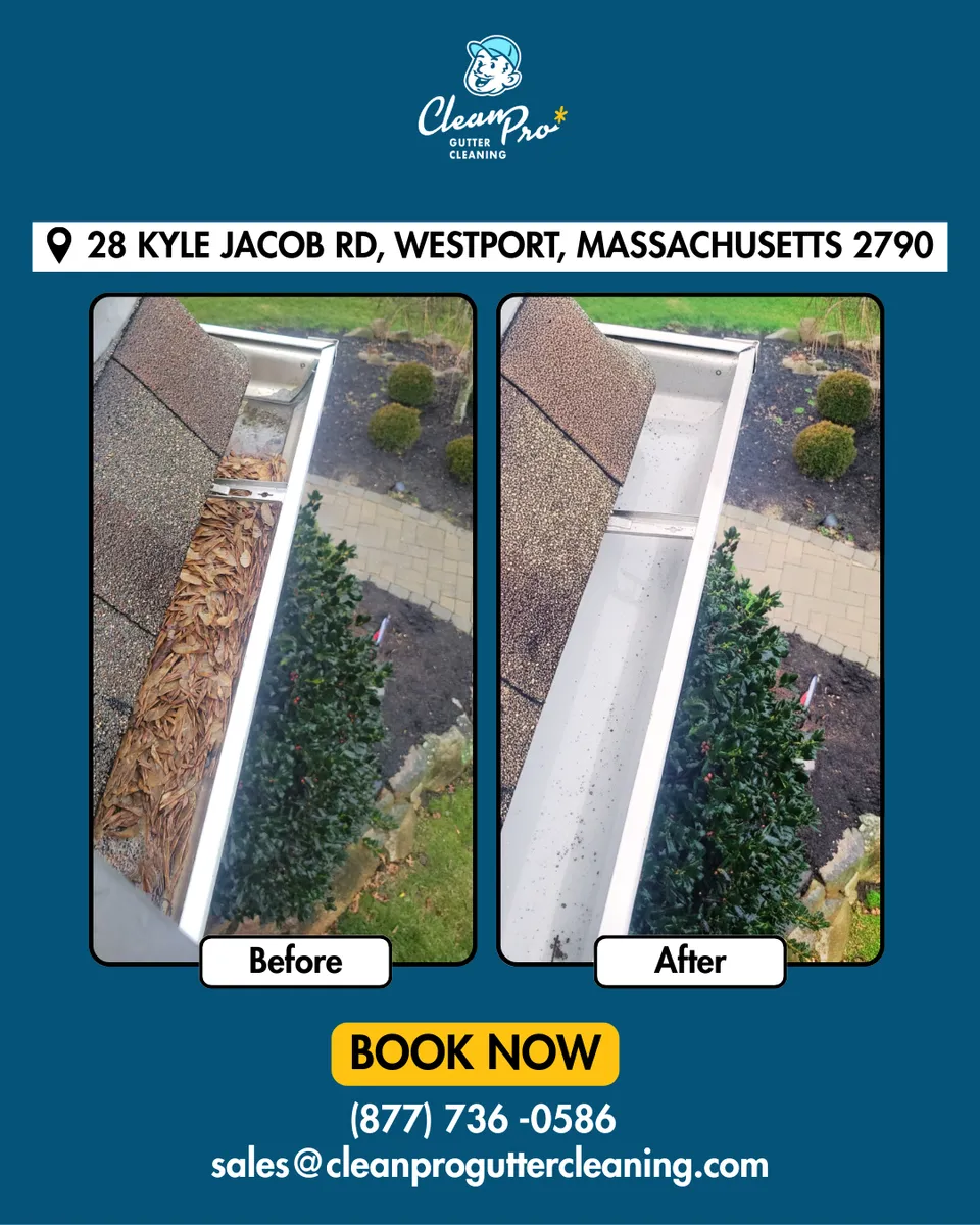 Before and after gutter cleaning in Palm Beach Gardens, FL
