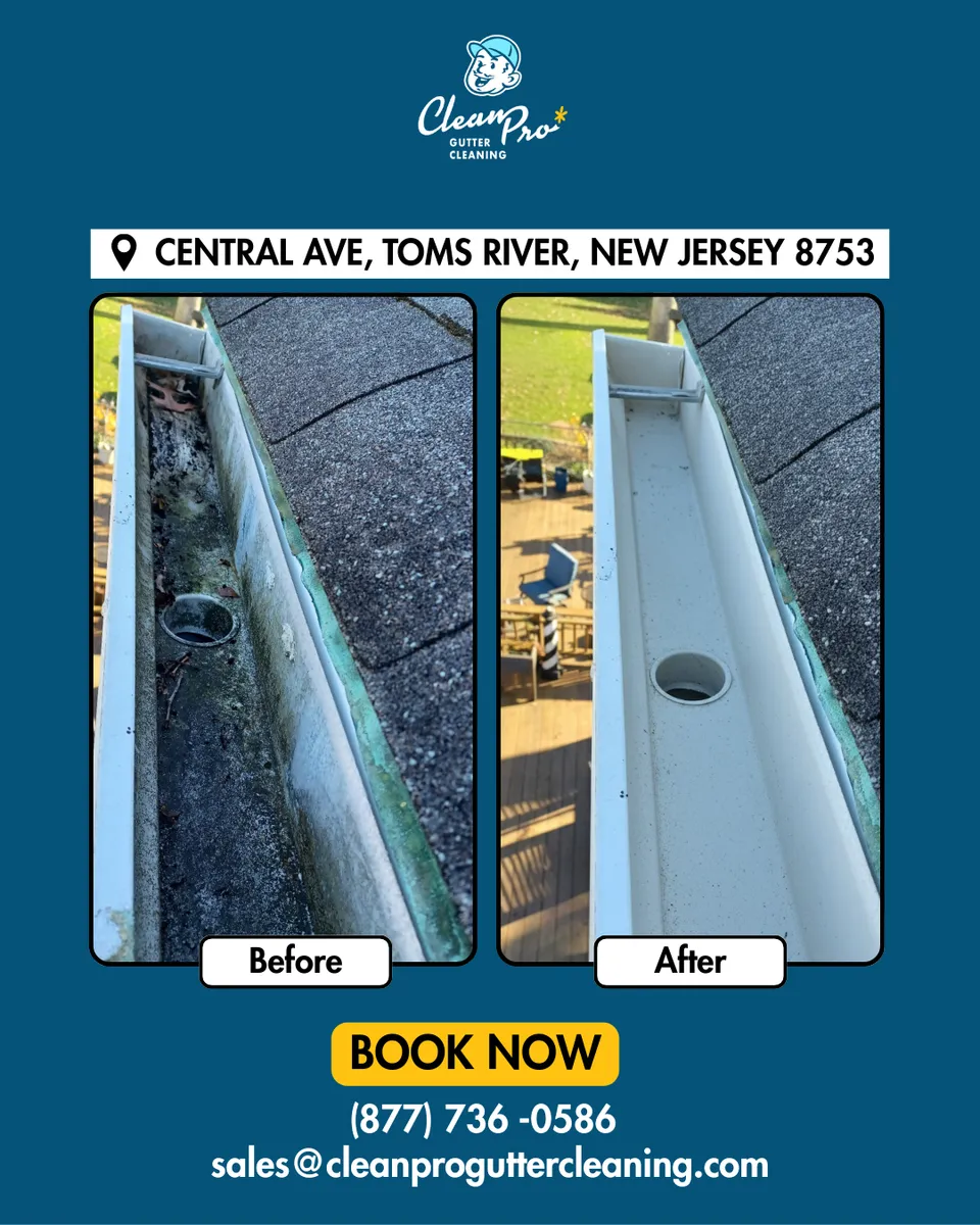 Before and after gutter cleaning in Columbia, SC