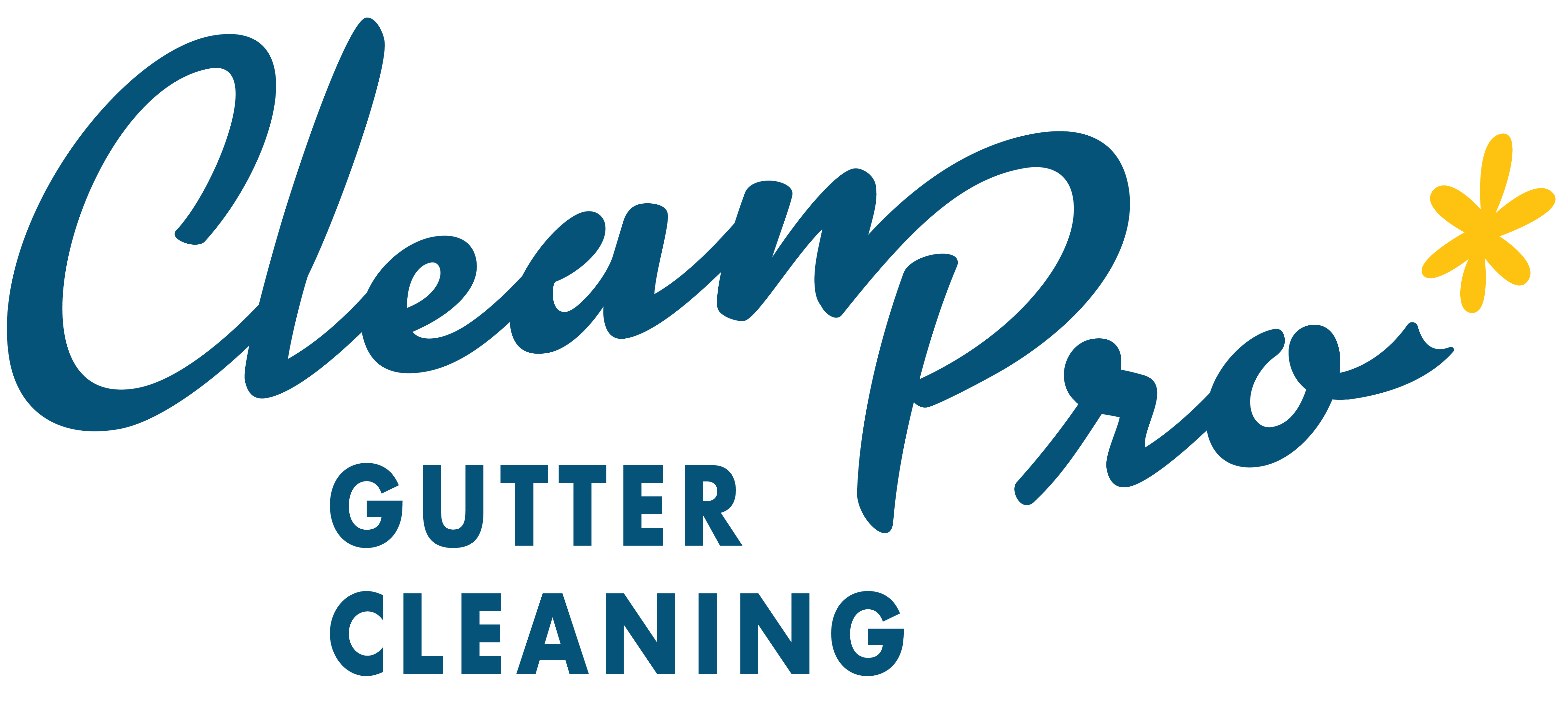 Clean Pro Wordmark