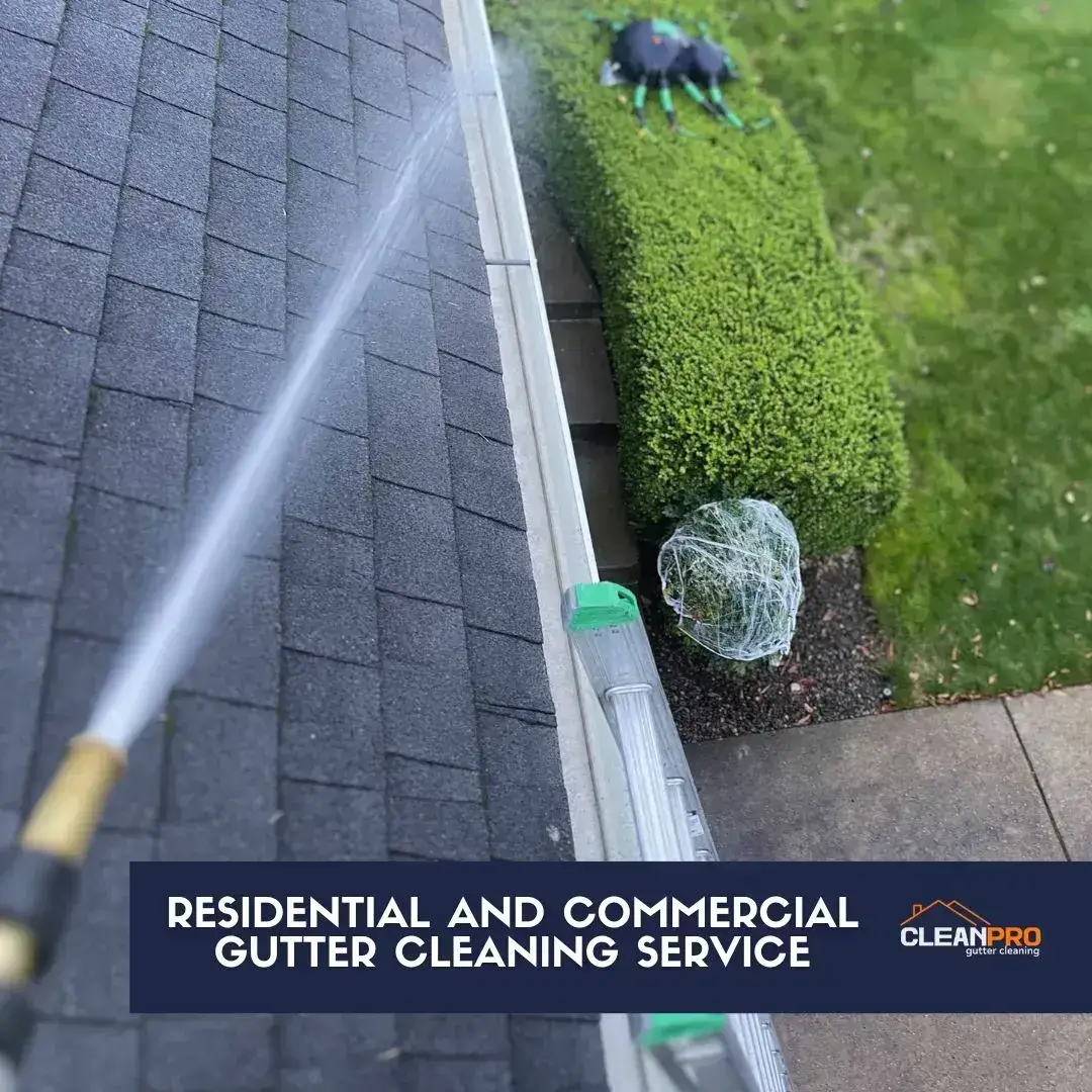 Gutter cleaning services for residential and commercial properties