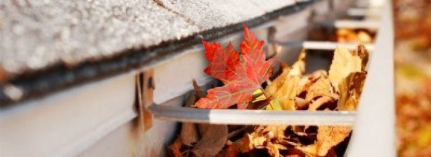 Gutter Cleaning Safely