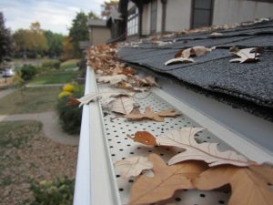 Are Gutter Guards Worth It