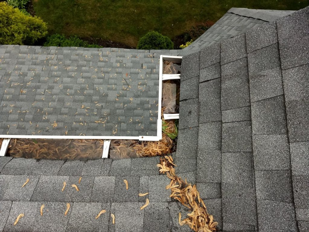 Roof and Gutter Cleaning Near Me
