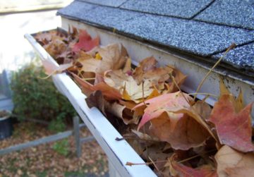 Why It's Important To Clean Your Gutters