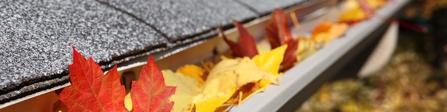 Fall Gutter Cleaning: When Is the Best Time Of Year?