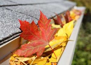 Tips On Preparing Your Home For Fall