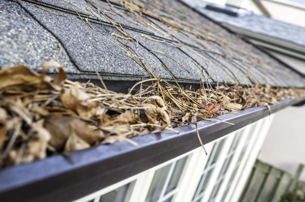Why Fall Gutter Cleaning Is Important [New for 2023]