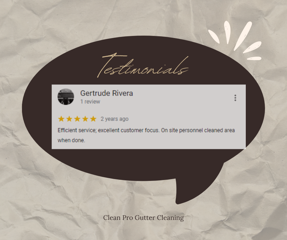 Gertrude from Buffalo, NY gives us a 5 star review for a recent gutter cleaning service.