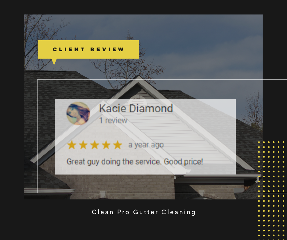 Kacie from Louisville, KY gives us a 5 star review for a recent gutter cleaning service.