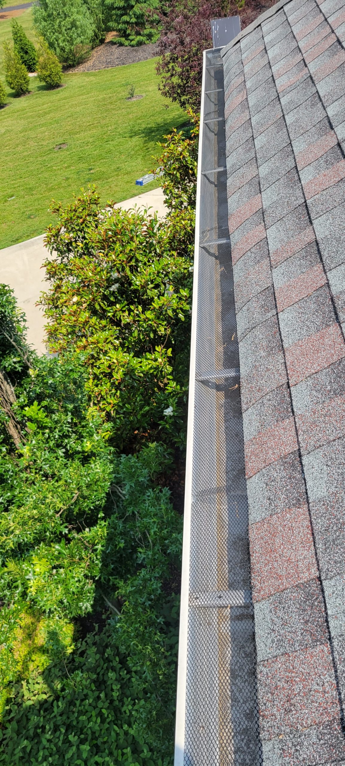 A clean gutter from Mayra in Tampa
