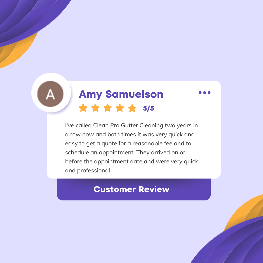 Amy from Norfolk gives us a 5 star review for a recent gutter cleaning service.