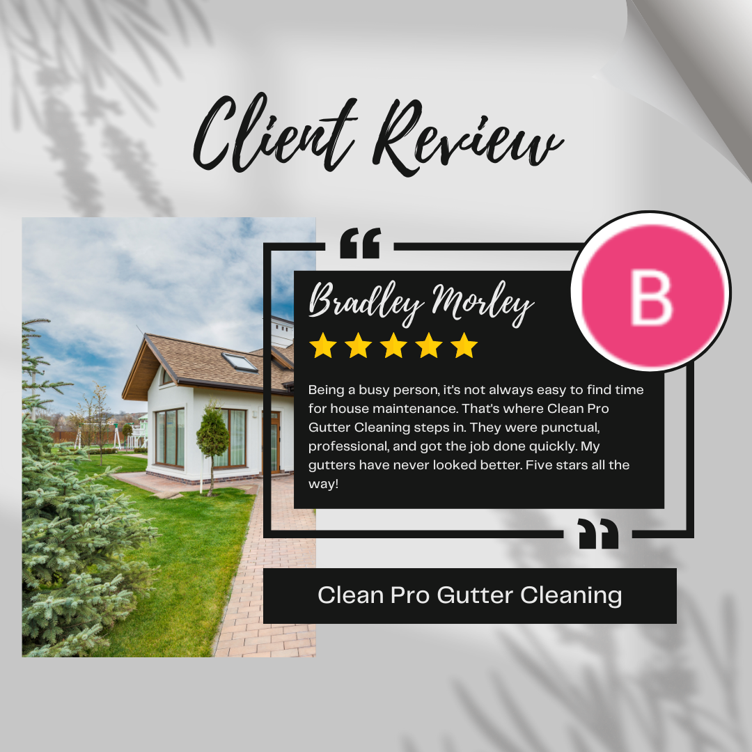 Bradley from St Louis gives us a 5 star review for a recent gutter cleaning service.