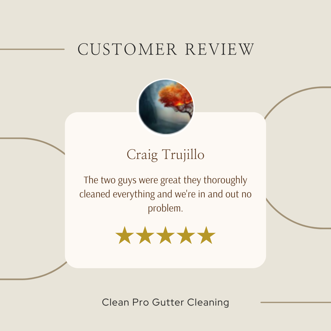 Craig from Indianapolis gives us a 5 star review for a recent gutter cleaning service.