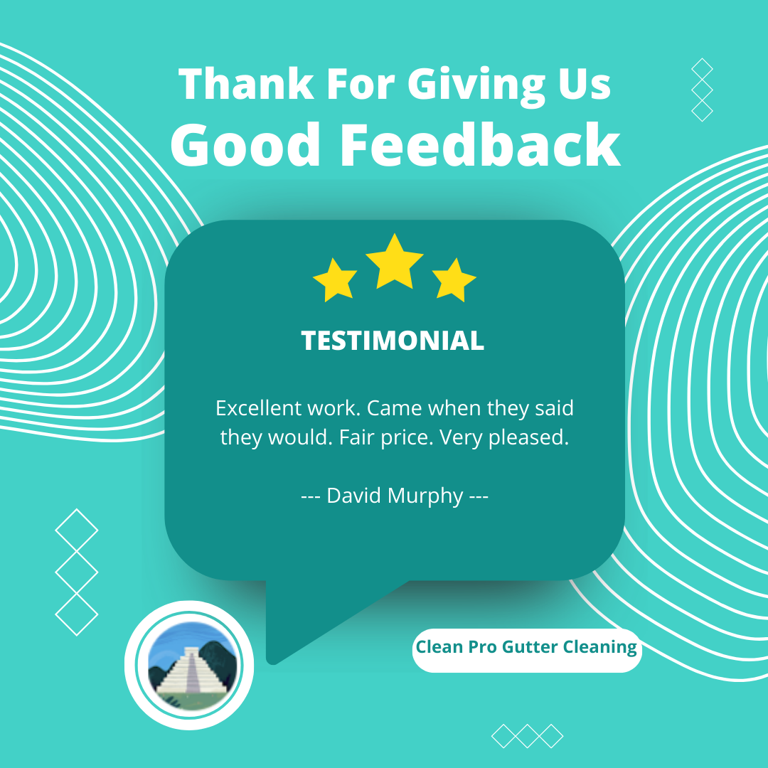David from Nashville gives us a 5 star review for a recent gutter cleaning service.