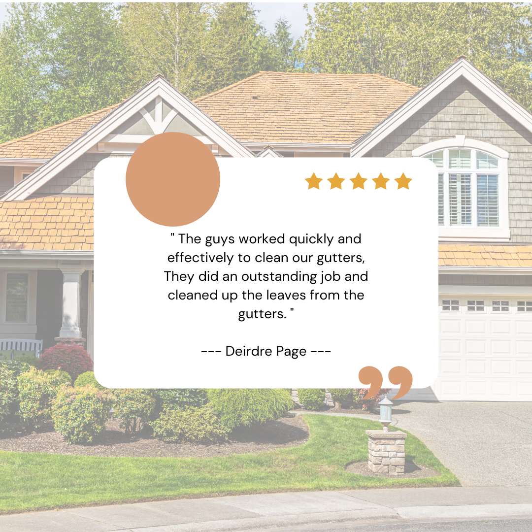 Deirdre from Lexington, KY gives us a 5 star review for a recent gutter cleaning service.