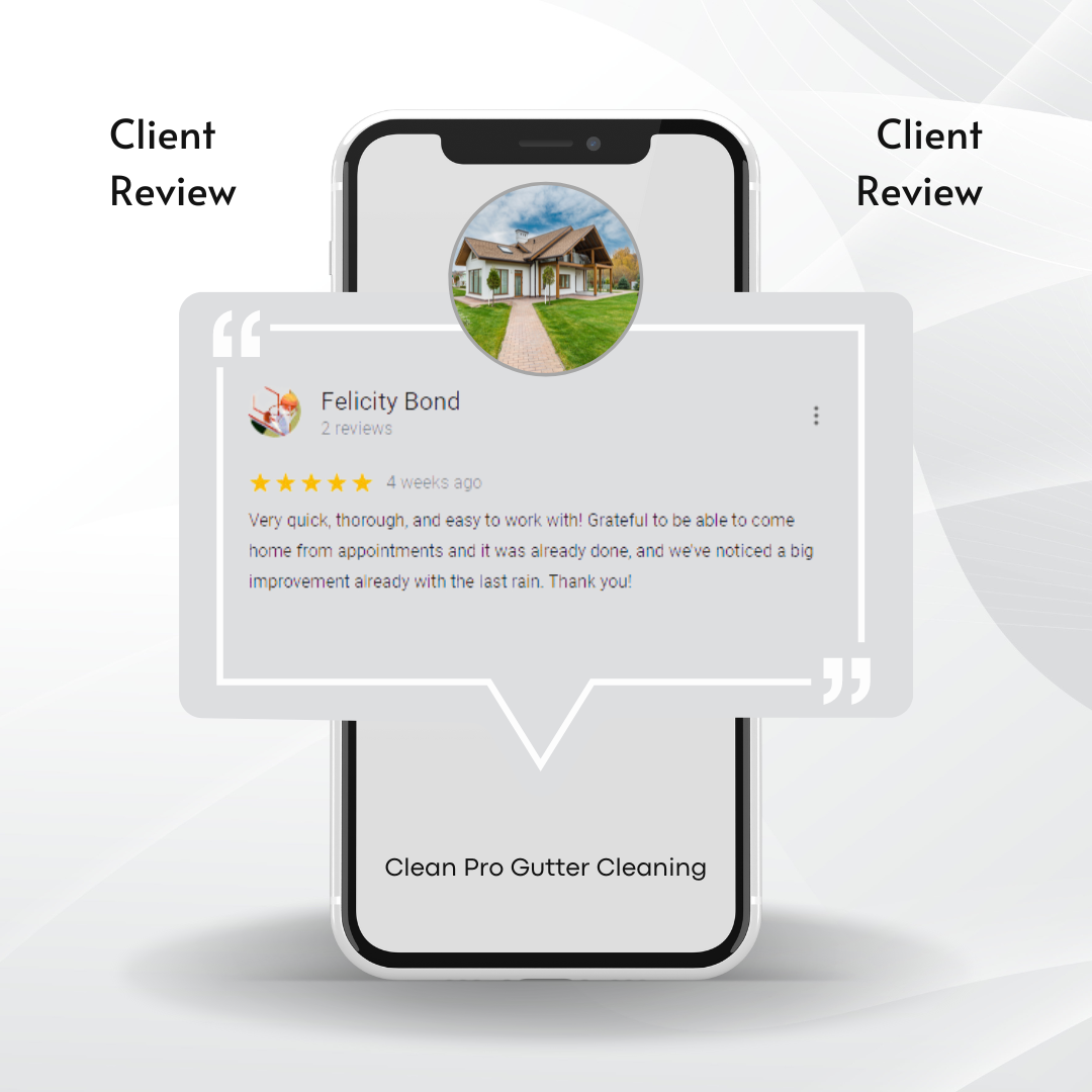Felicity from Baton Rouge gives us a 5 star review for a recent gutter cleaning service.