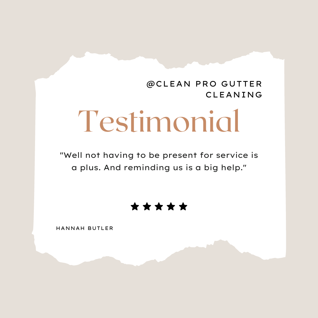 Hannah from Erie, PA gives us a 5 star review for a recent gutter cleaning service.