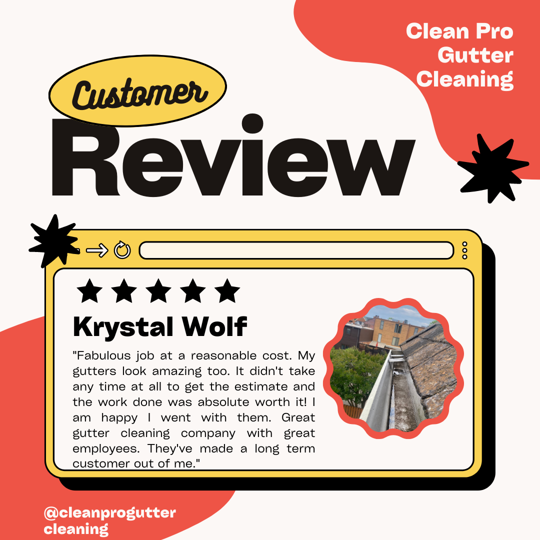 Krystal from Kansas City, MO gives us a 5 star review for a recent gutter cleaning service.