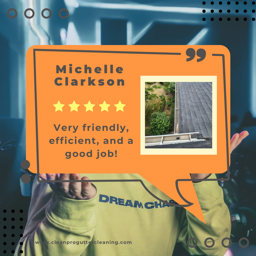 Michelle from Mountain View, AR gives us a 5 star review for a recent gutter cleaning service.