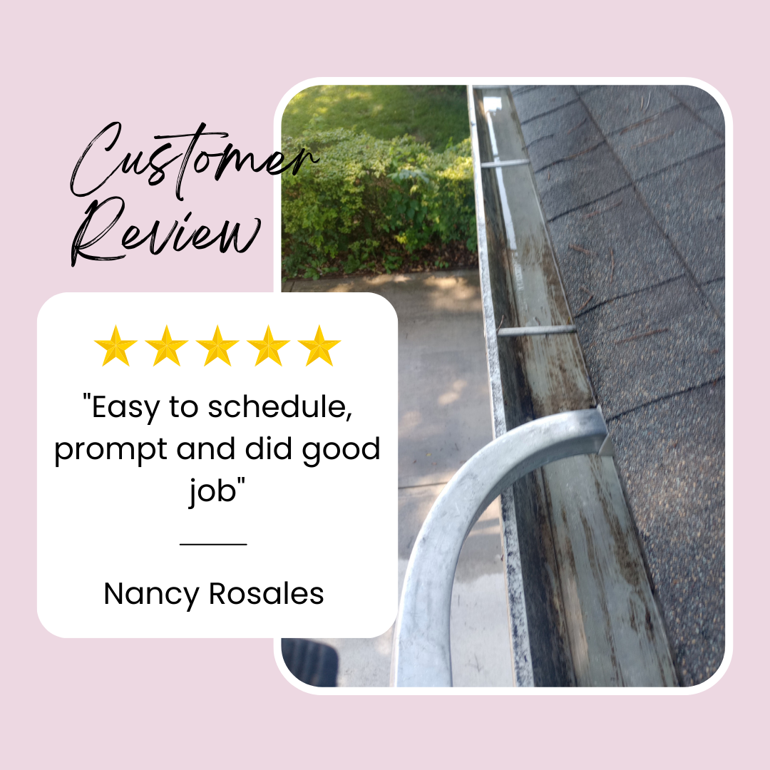 Nancy from Little Rock,AR gives us a 5 star review for a recent gutter cleaning service.