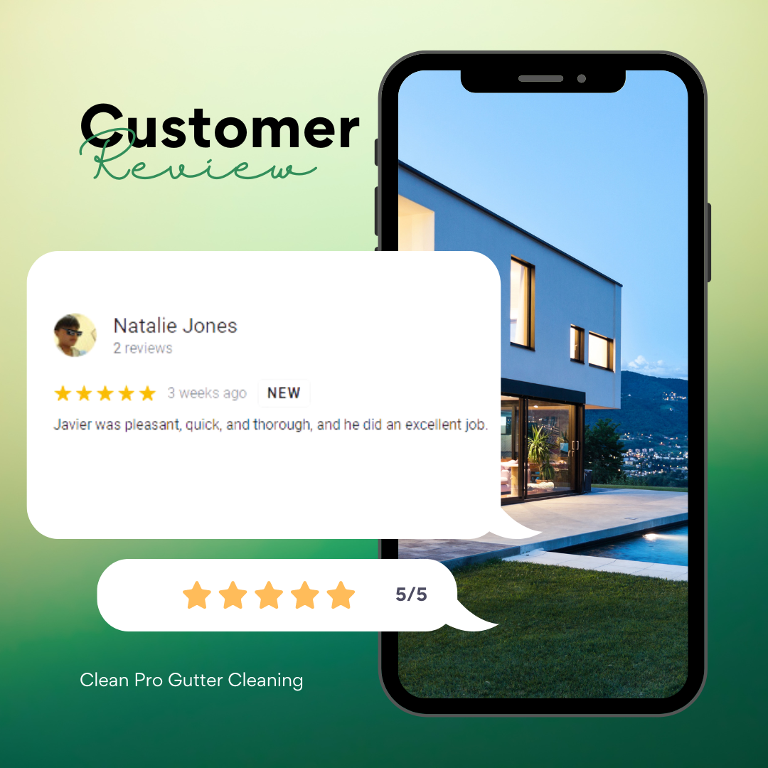 Natalie from Springfield gives us a 5 star review for a recent gutter cleaning service.