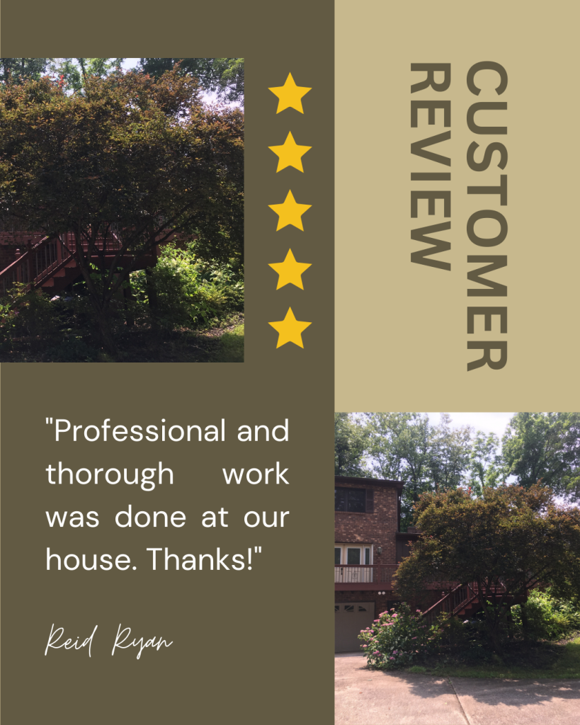 Reid from Little Rock,AR gives us a 5 star review for a recent gutter cleaning service.