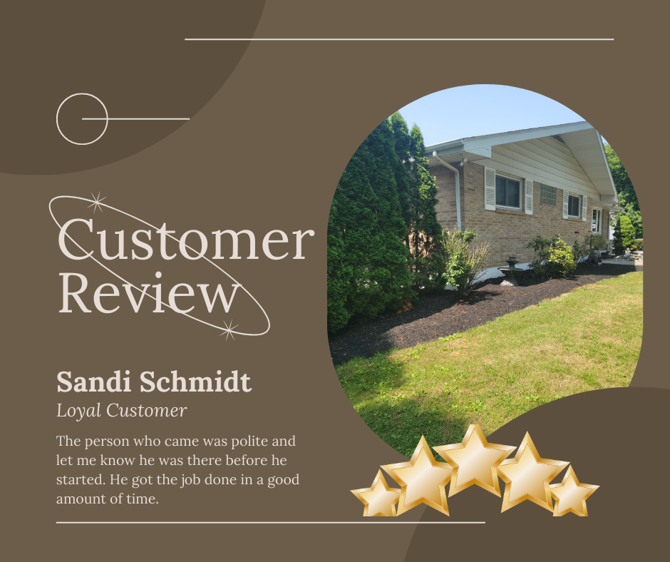 Sandi from Little Rock,AR gives us a 5 star review for a recent gutter cleaning service.