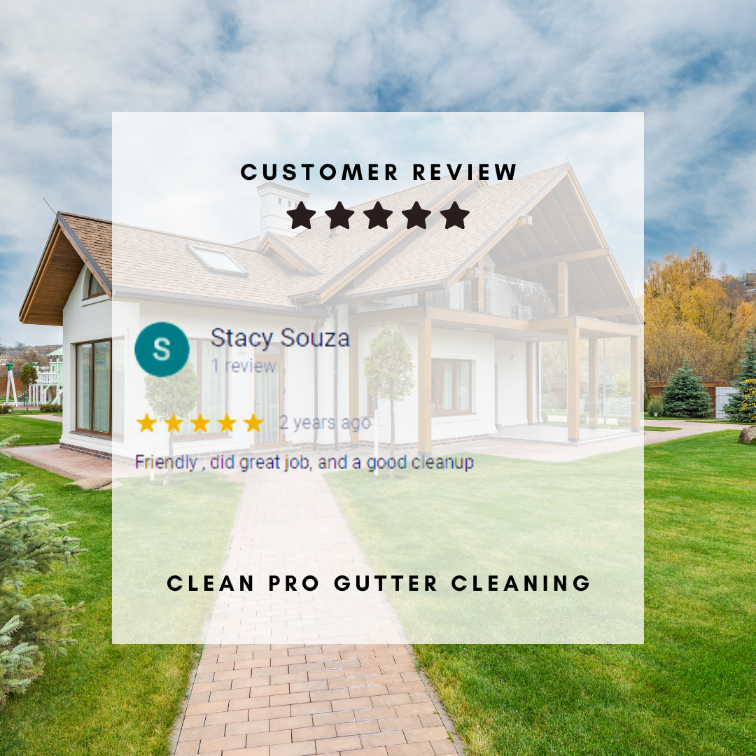 Stacy from Sacramento gives us a 5 star review for a recent gutter cleaning service.