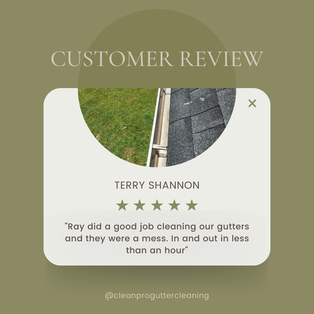 Terry from Huntingdon, PA gives us a 5 star review for a recent gutter cleaning service.