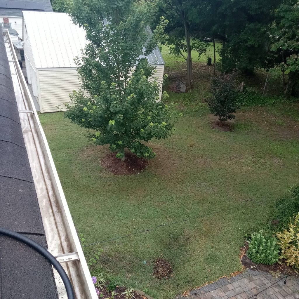 Gutter Cleaning Service in Kansas City for Holly's Home