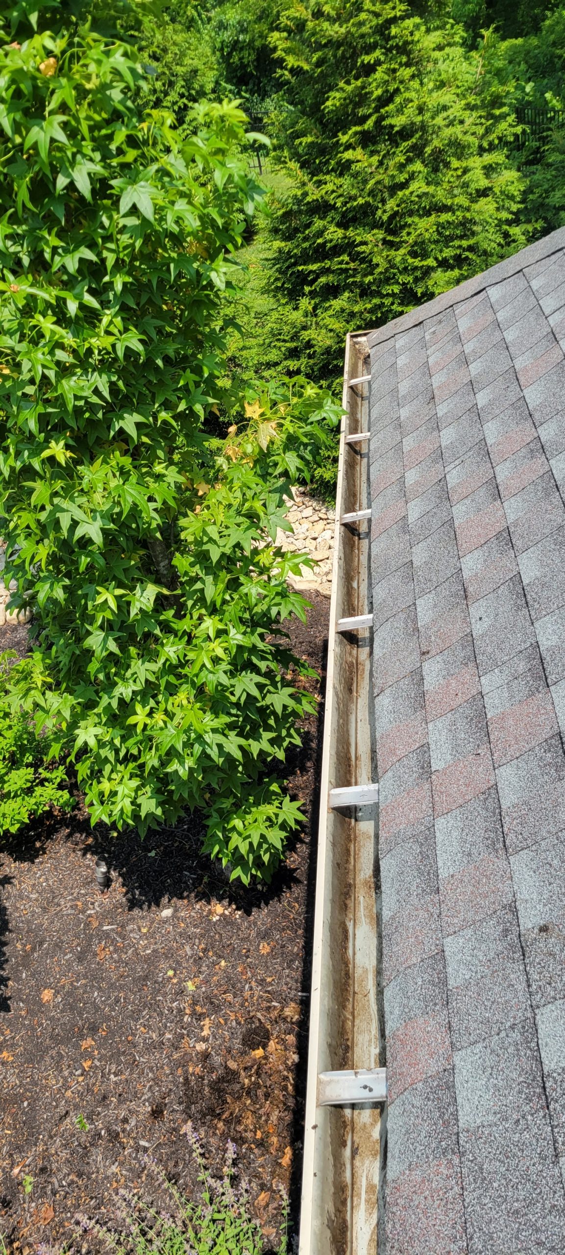 Gutter Cleaning Service in Tampa for Mayra's Home