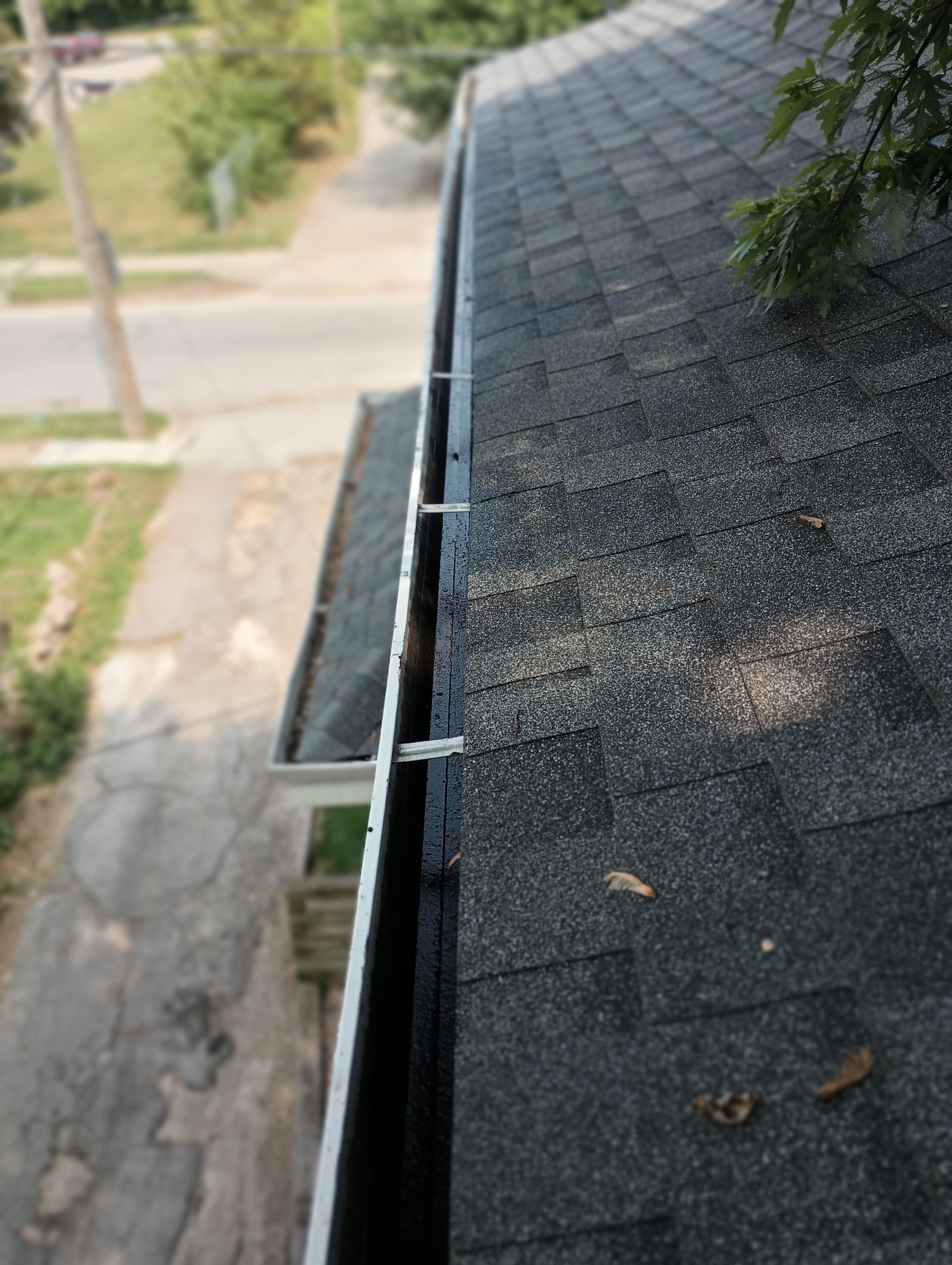 Our Gutter Cleaners  Work in Sarasota Home of Izabella