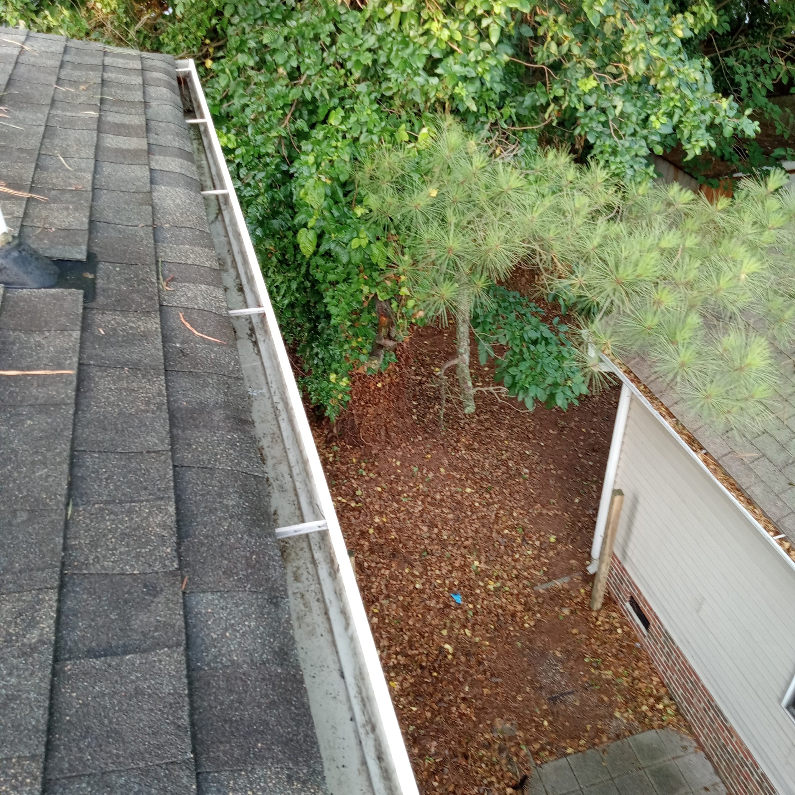 Top Notch New Albany IN Gutter Cleaning for Langdon's Home 