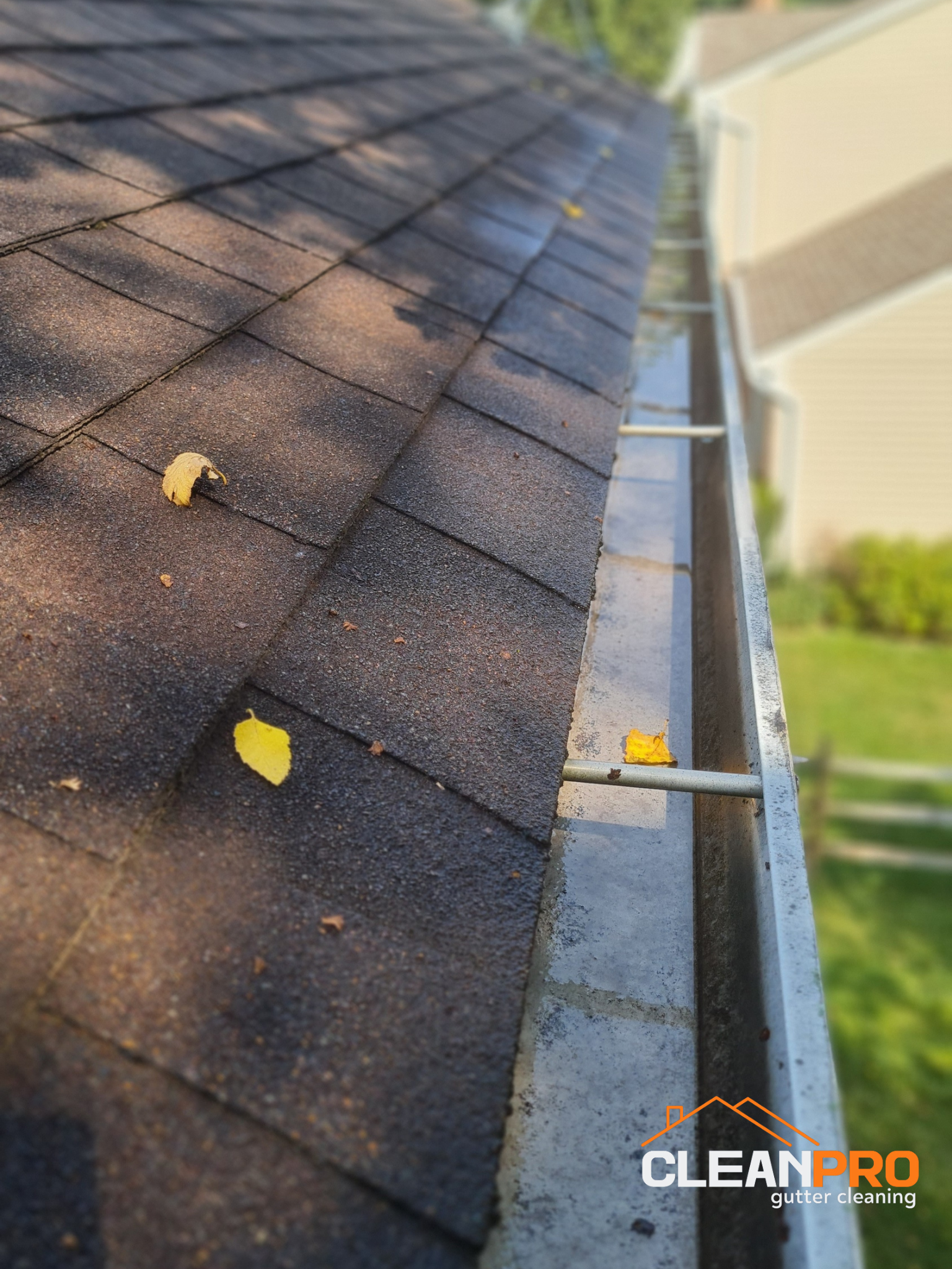 Best Gutter Cleaning Service in Springfield