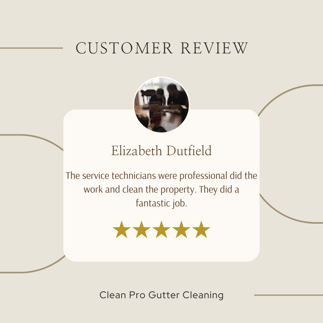 Elizabeth from Knoxville, TN gives us a 5 star review for a recent gutter cleaning service.