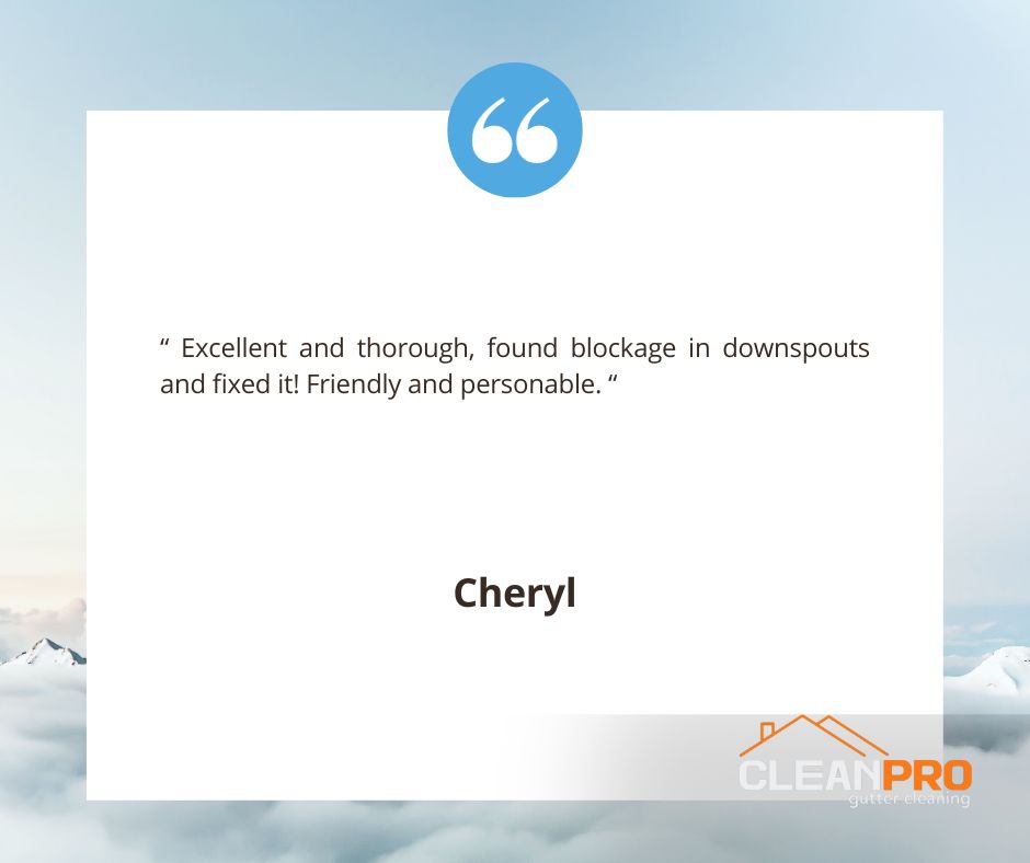 Cheryl in Indianapolis, IN gives us a 5 star review for a recent gutter cleaning service.