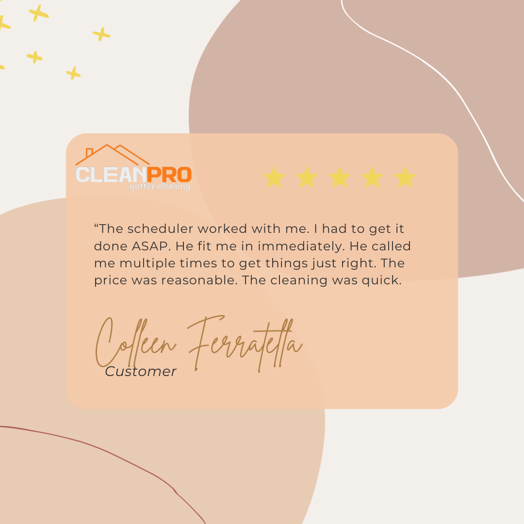 Colleen from Knoxville, TN gives us a 5 star review for a recent gutter cleaning service.