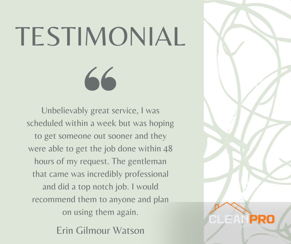 Erin in Charleston, SC gives us a 5 star review for a recent gutter cleaning service.