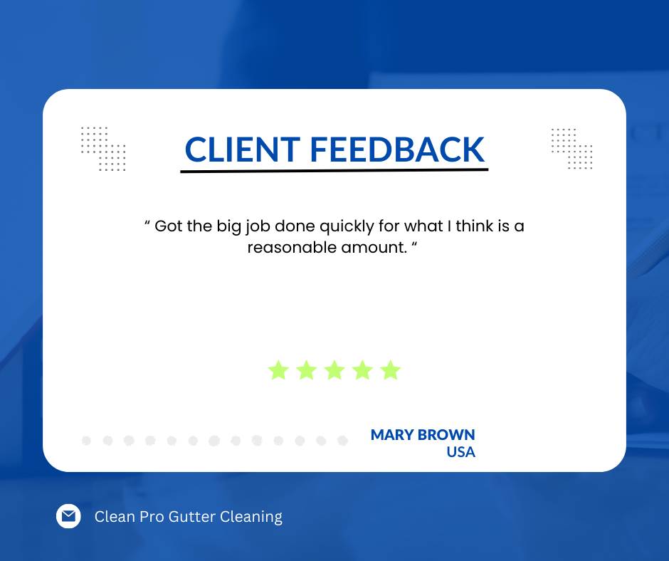Mary in Dallas, TX gives us a 5 star review for a recent gutter cleaning service.