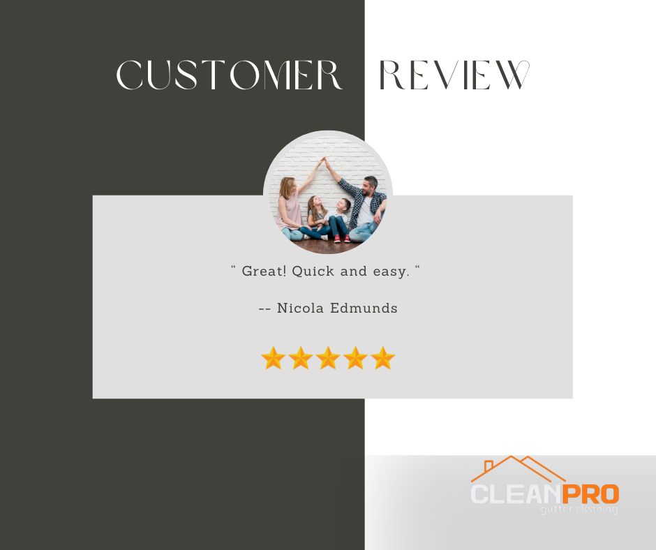 Nicola in Cincinnati, OH gives us a 5 star review for a recent gutter cleaning service.