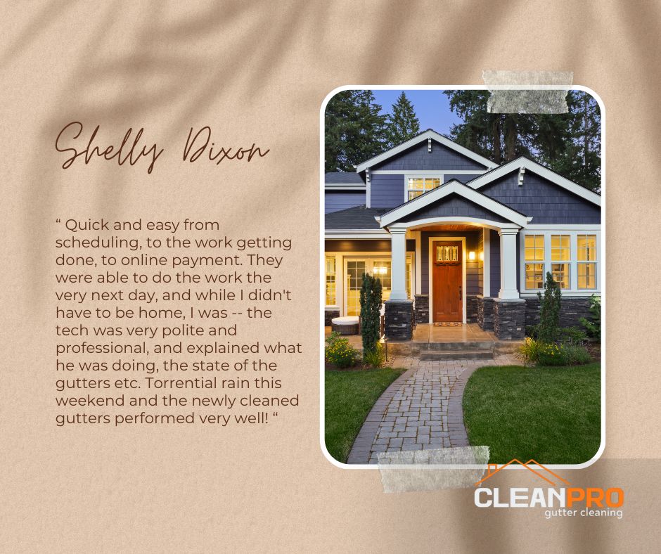 Shelly in Ann Arbor, MI gives us a 5 star review for a recent gutter cleaning service.