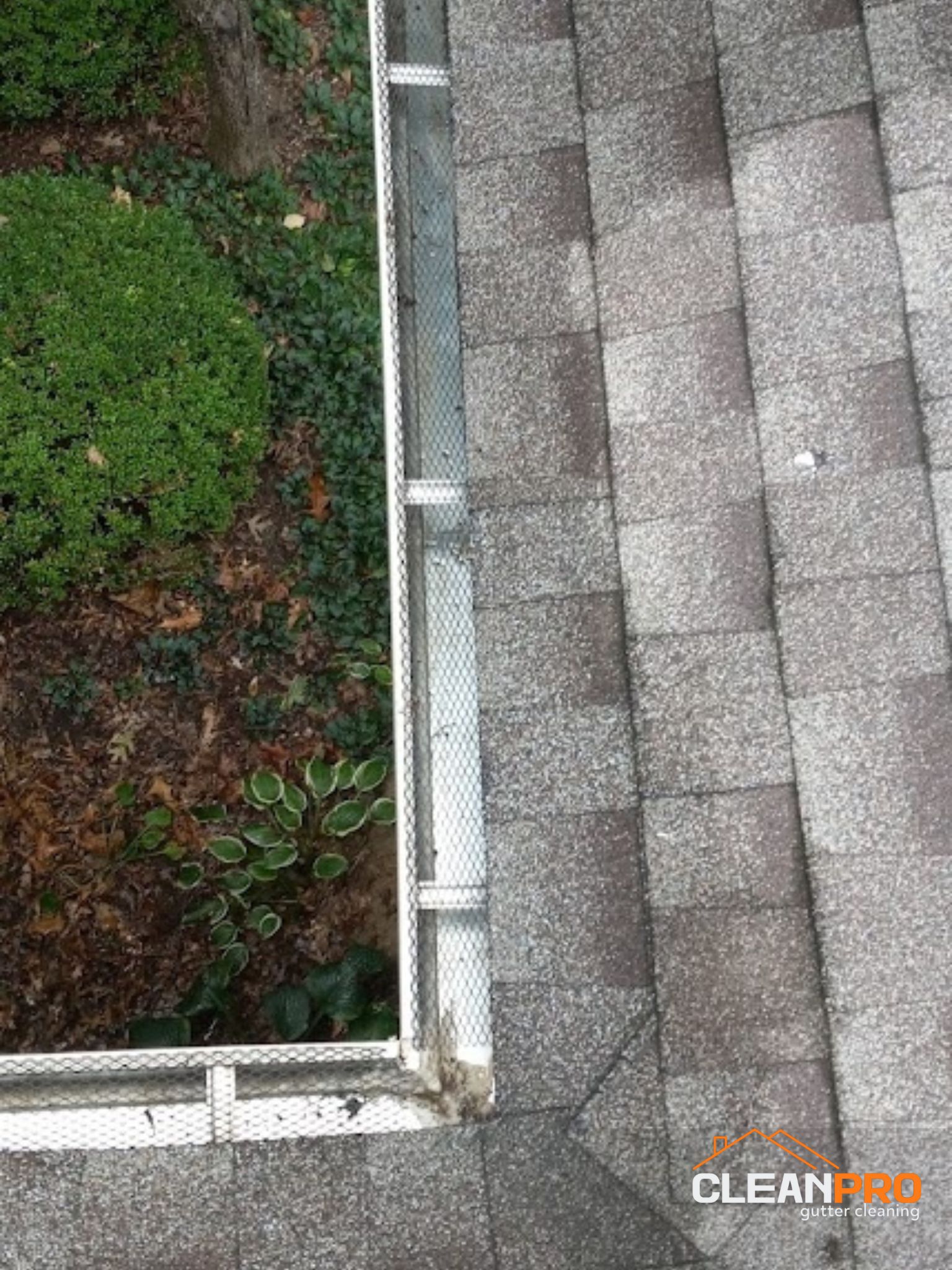Gutter Cleaning in Baltimore for Rodolfo Home